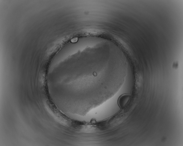 X0000116830451200912241230