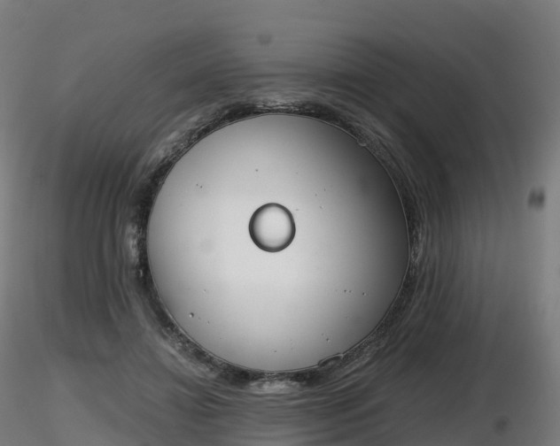 X0000116830452200912241230
