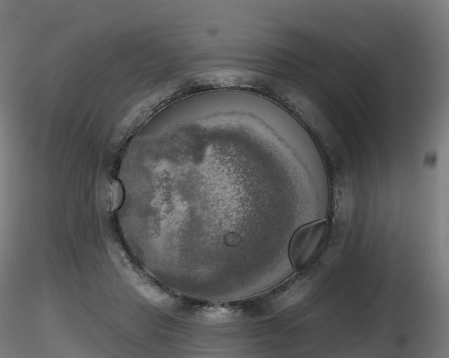 X0000116830453200912241230
