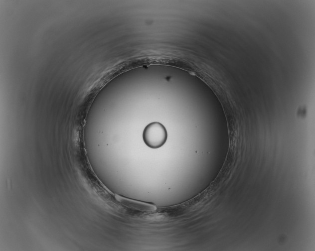 X0000116830456200912241230
