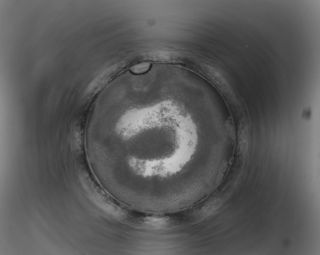 X0000116830457200912241230