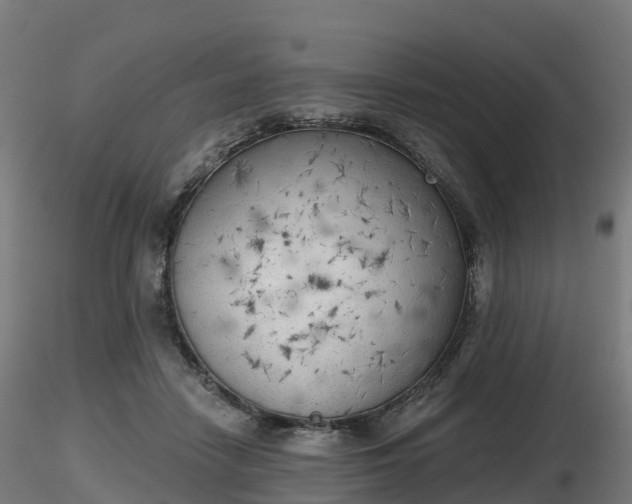 X0000116830458200912241230