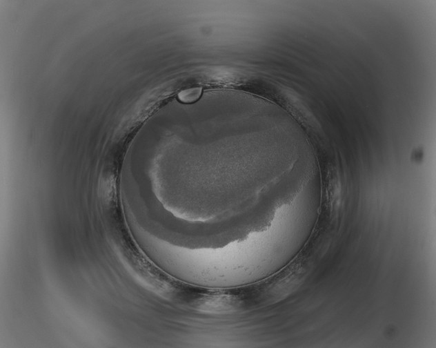 X0000116830459200912241230