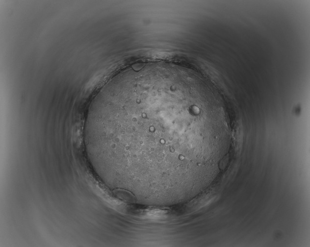 X0000116830462200912241230