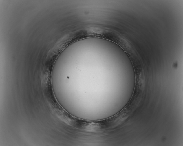 X0000116830463200912241230