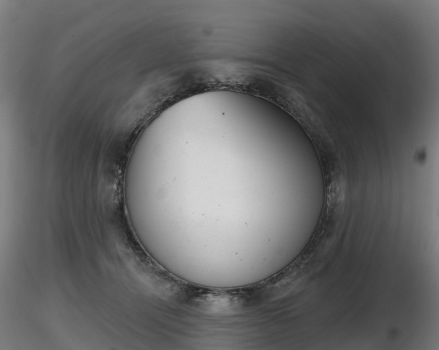 X0000116830464200912241230