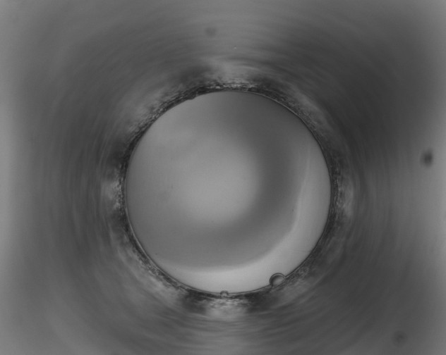 X0000116830465200912241230