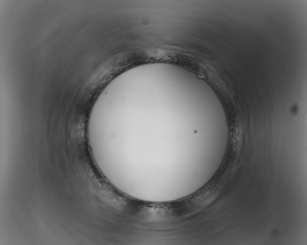X0000116830466200912241230