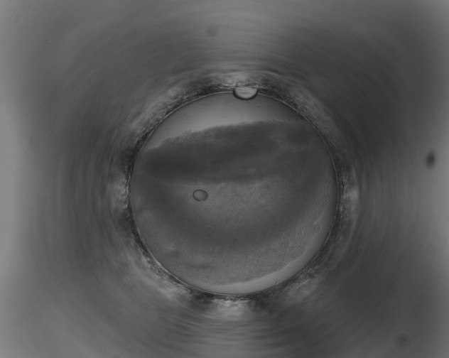 X0000116830469200912241230