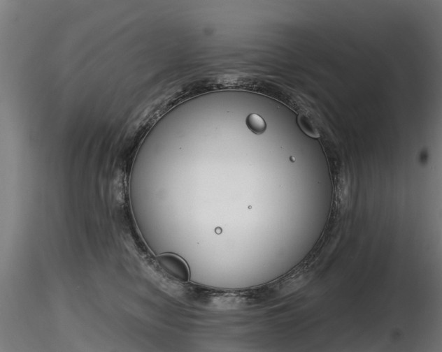 X0000116830470200912241230