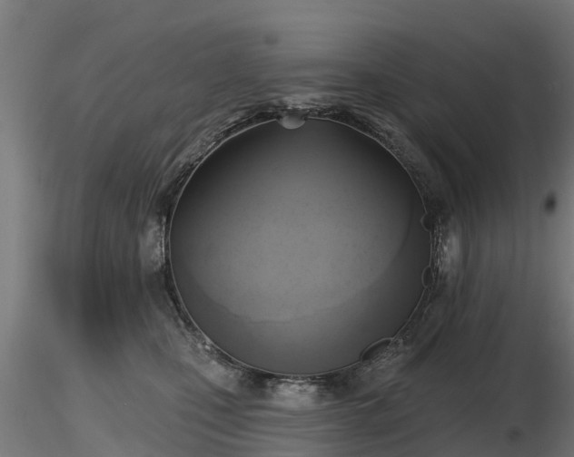X0000116830471200912241230
