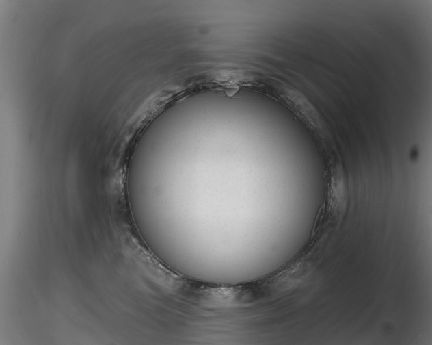 X0000116830473200912241230