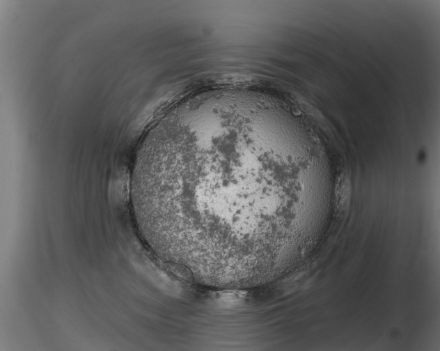 X0000116830474200912241230