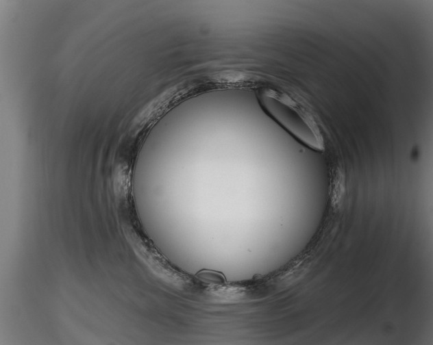 X0000116830476200912241230