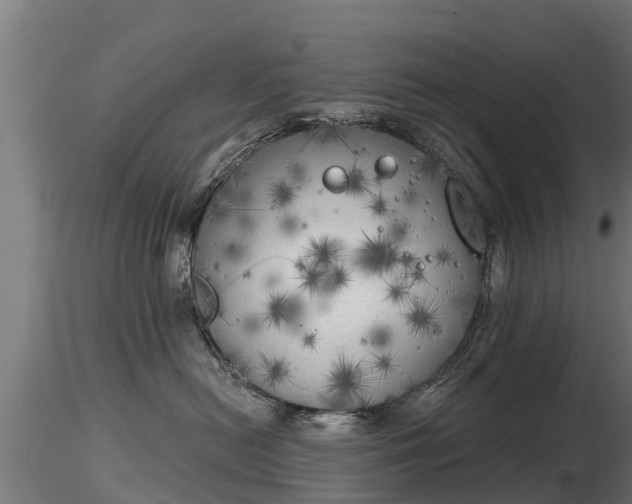 X0000116830478200912241230