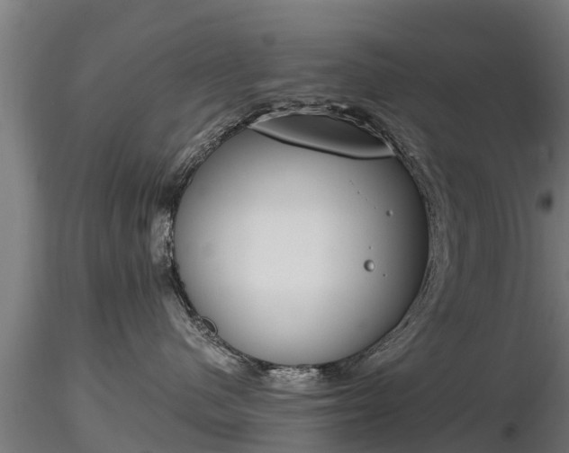 X0000116830480200912241230