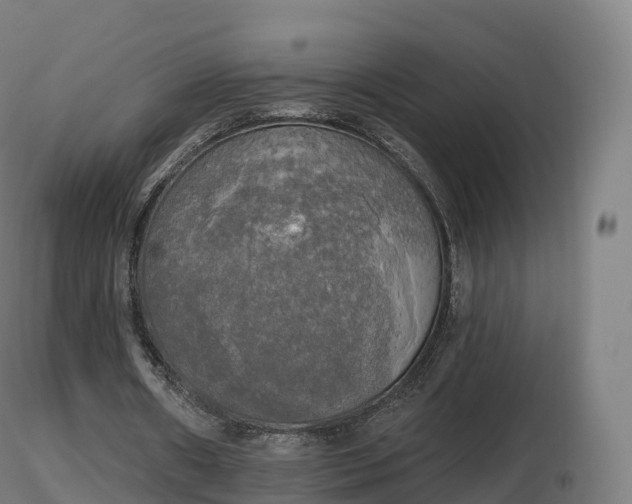 X0000116830482200912241230