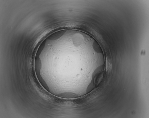 X0000116830483200912241230