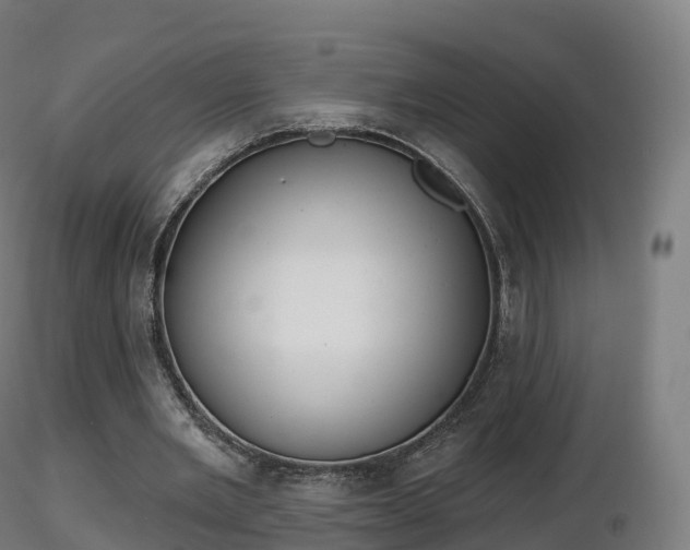 X0000116830485200912241230