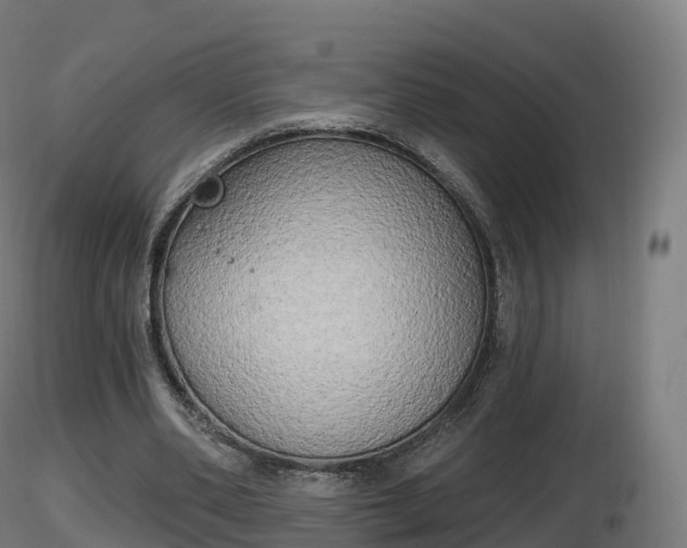 X0000116830486200912241230
