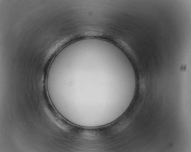 X0000116830490200912241230