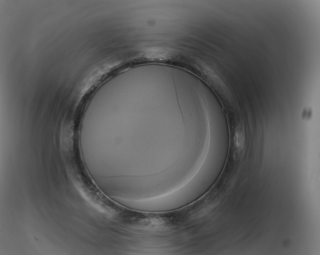 X0000116830492200912241230