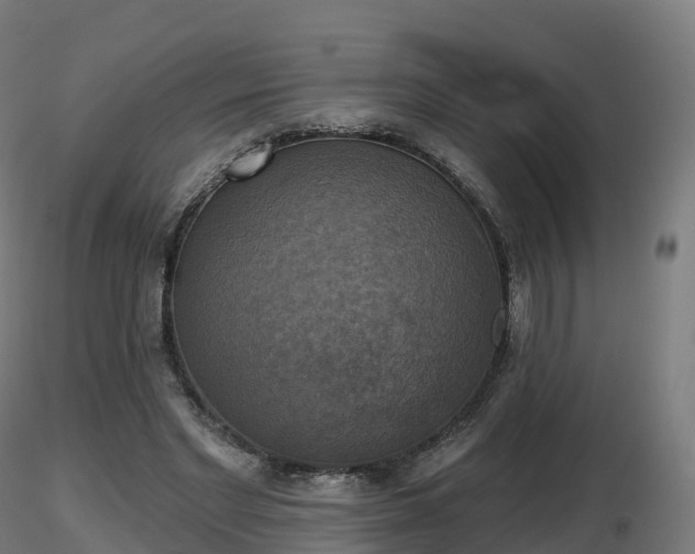 X0000116830493200912241230