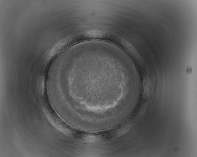 X0000116830494200912241230