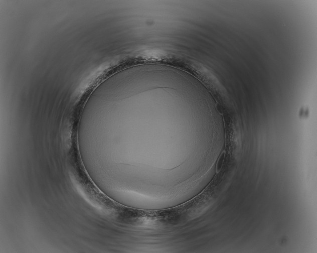 X0000116830496200912241230