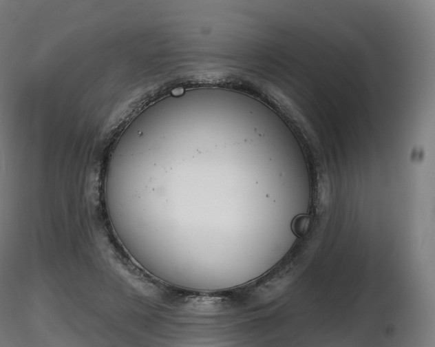 X0000116830497200912241229