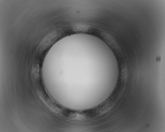 X0000116830498200912241229
