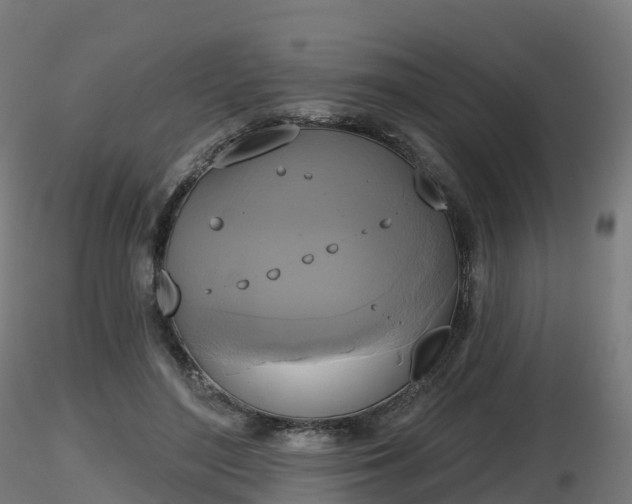 X0000116830500200912241229
