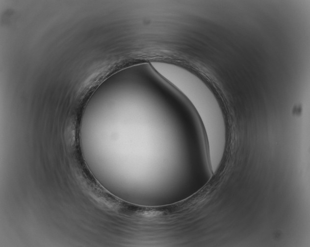X0000116830501200912241229