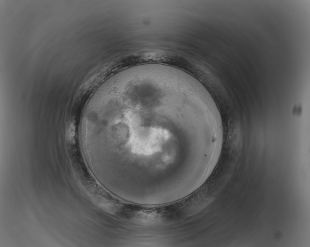 X0000116830502200912241229
