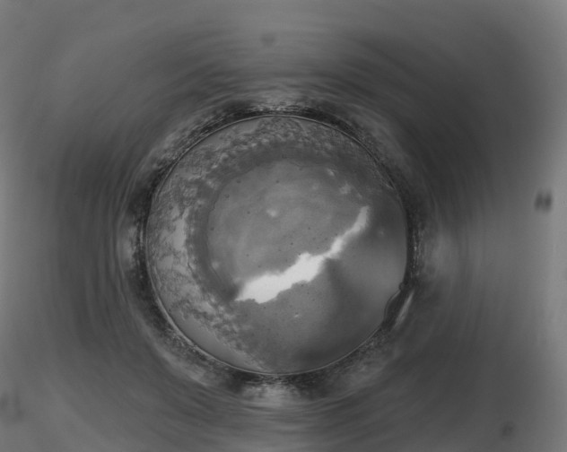 X0000116830503200912241229
