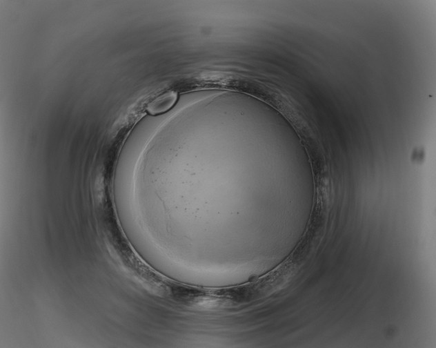 X0000116830504200912241229