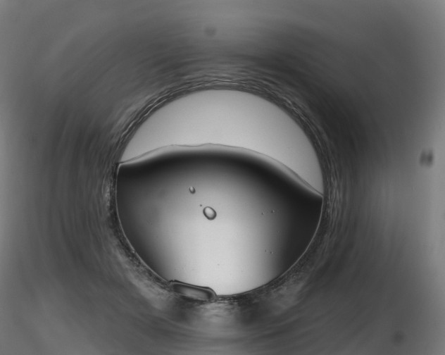 X0000116830505200912241229