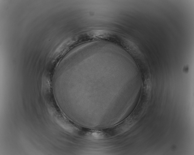 X0000116830506200912241229