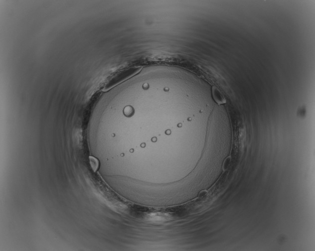 X0000116830508200912241229