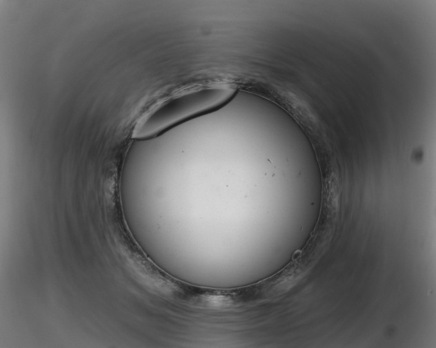 X0000116830509200912241229