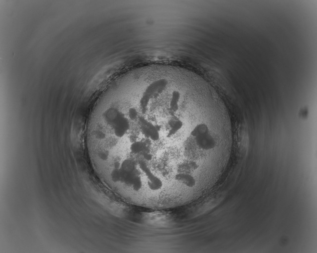 X0000116830511200912241229