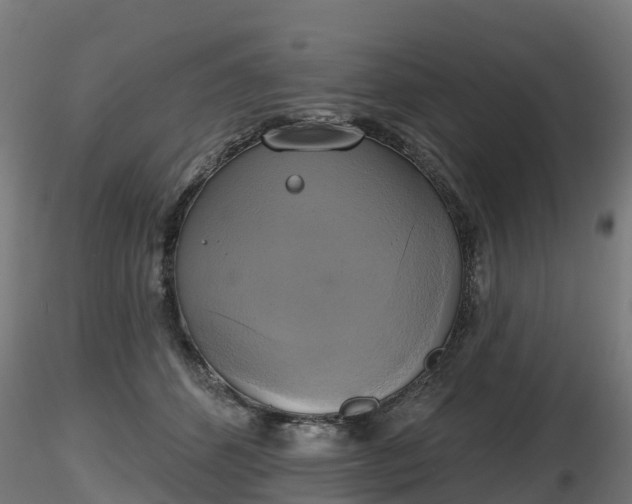 X0000116830512200912241229