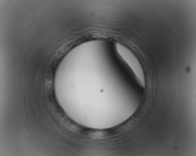 X0000116830513200912241229