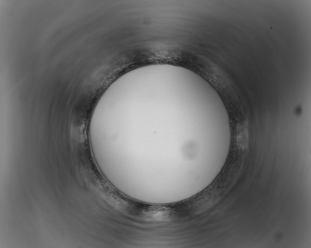 X0000116830514200912241229