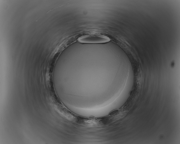 X0000116830516200912241229