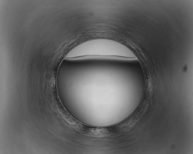 X0000116830517200912241229