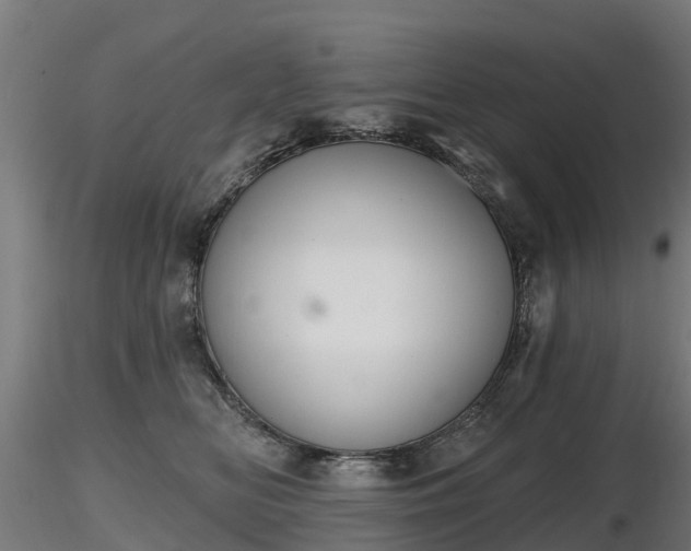 X0000116830518200912241229