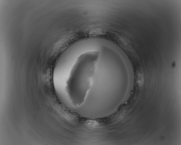 X0000116830519200912241229