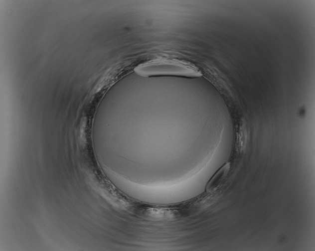 X0000116830520200912241229