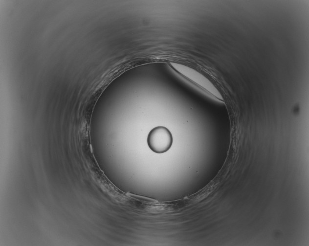 X0000116830521200912241229